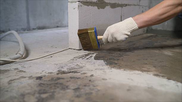 24/7 Emergency Crawl Space Encapsulation experts in West Olive, MI